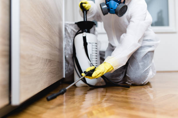 Best Affordable Pest Control Services  in Bren Bow, OK