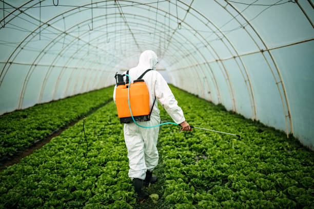 Best Pest Control for Businesses  in Bren Bow, OK