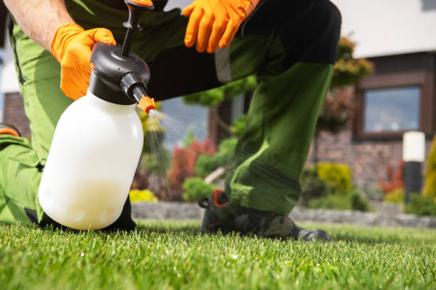 Best Residential Pest Control  in Bren Bow, OK