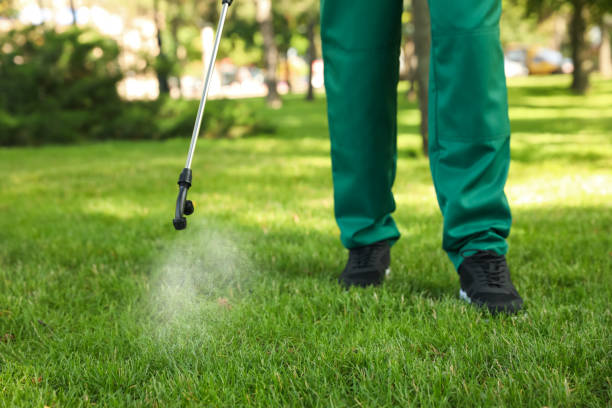 Best Termite Control Services  in Bren Bow, OK