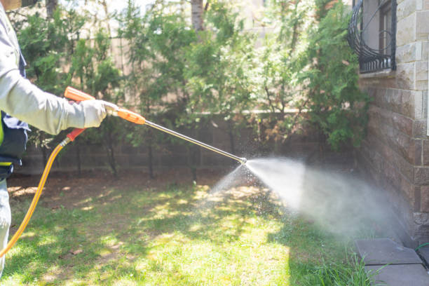 Best Pest Prevention Services  in Bren Bow, OK