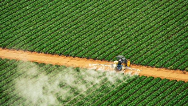 Pest Prevention Services in Broken Bow, OK