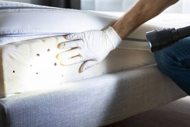Best Emergency Pest Control  in Bren Bow, OK