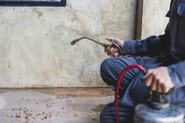 Pest Control Cost in Broken Bow, OK