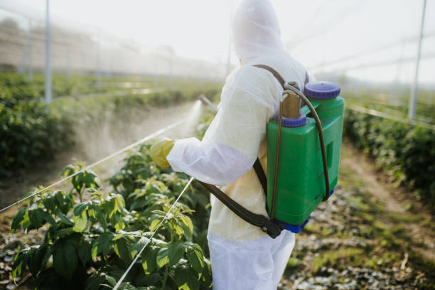 Best Exterminator Services  in Bren Bow, OK